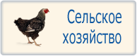 Бизнес планы для сельского хозяйства